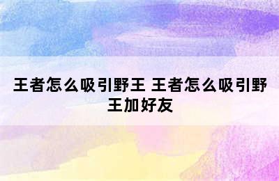 王者怎么吸引野王 王者怎么吸引野王加好友